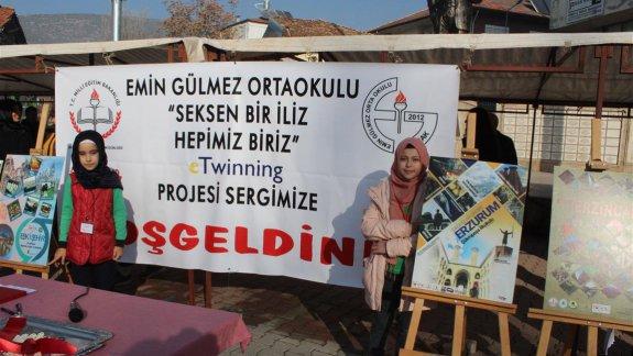 Emin Gülmez Ortaokulunun "Seksen Bir İliz, Hepimiz Biriz " Projesi Poster Sergisi açıldı.